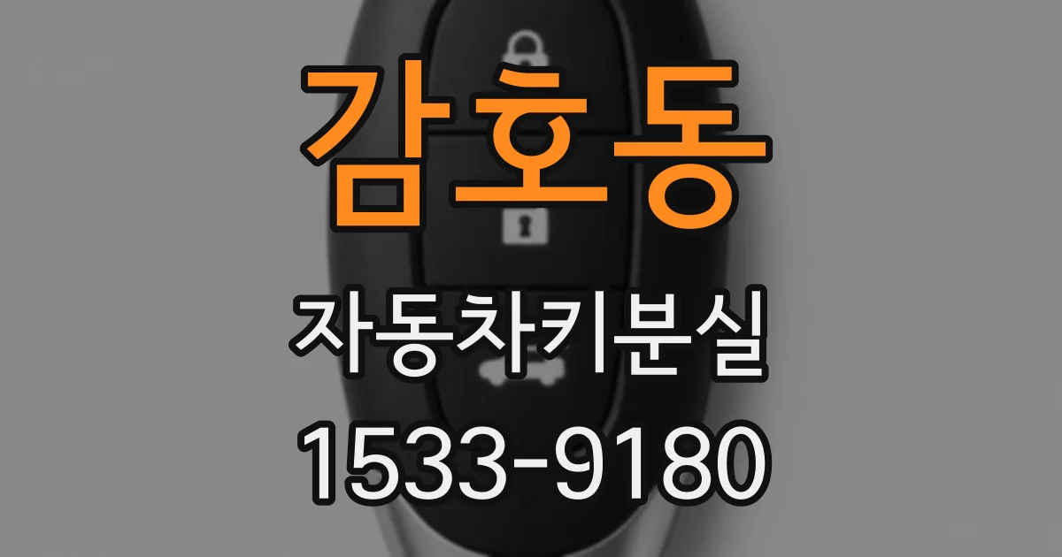 감호동 자동차키분실