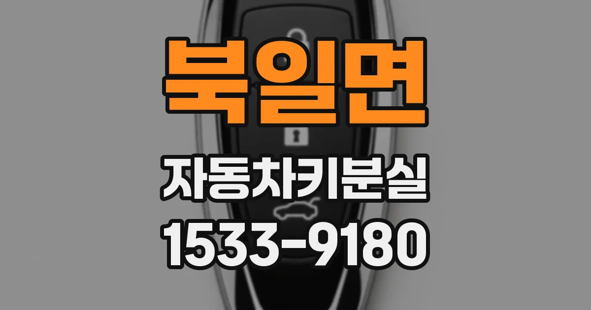 북일면 자동차키분실