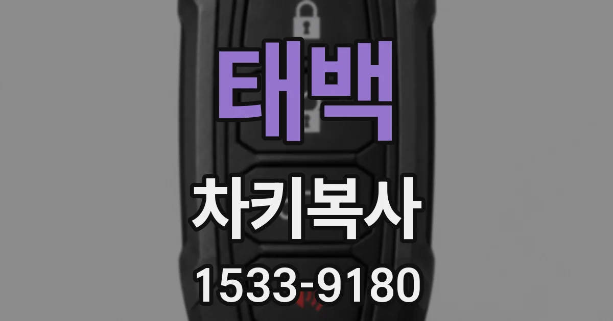 태백 차키복사