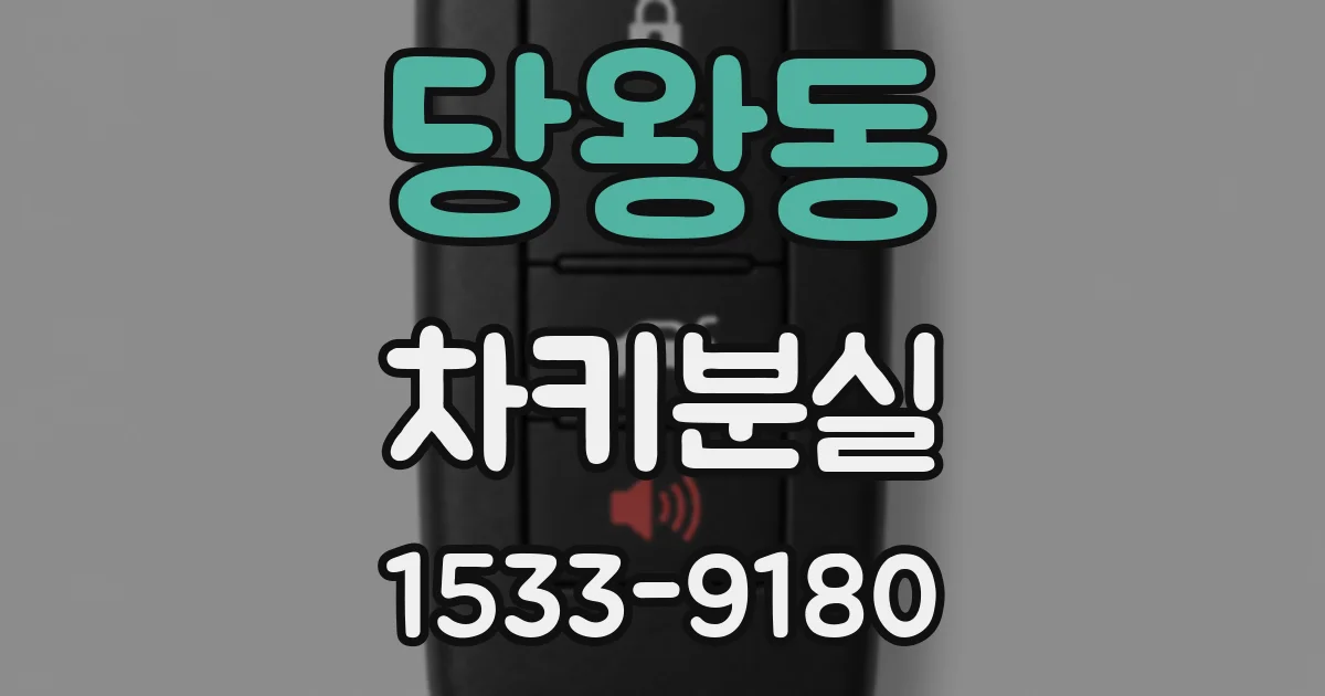 당왕동 차키분실