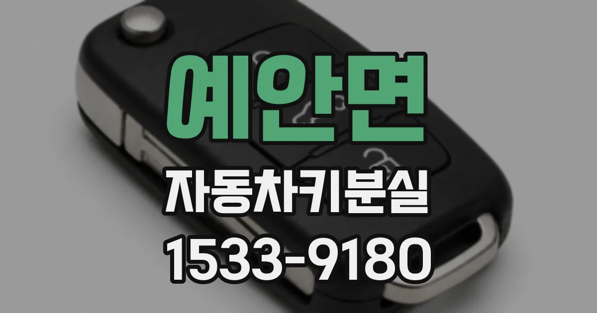 예안면 자동차키분실