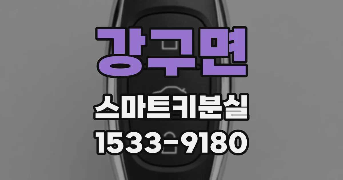 강구면 스마트키분실
