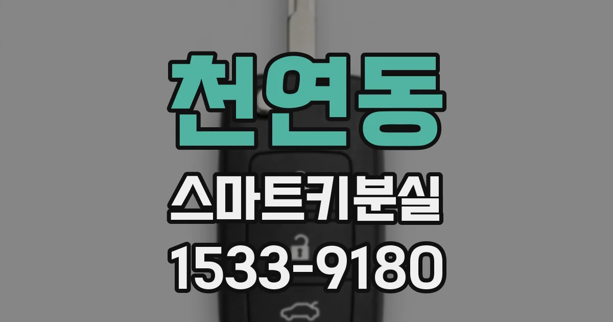 천연동 스마트키분실
