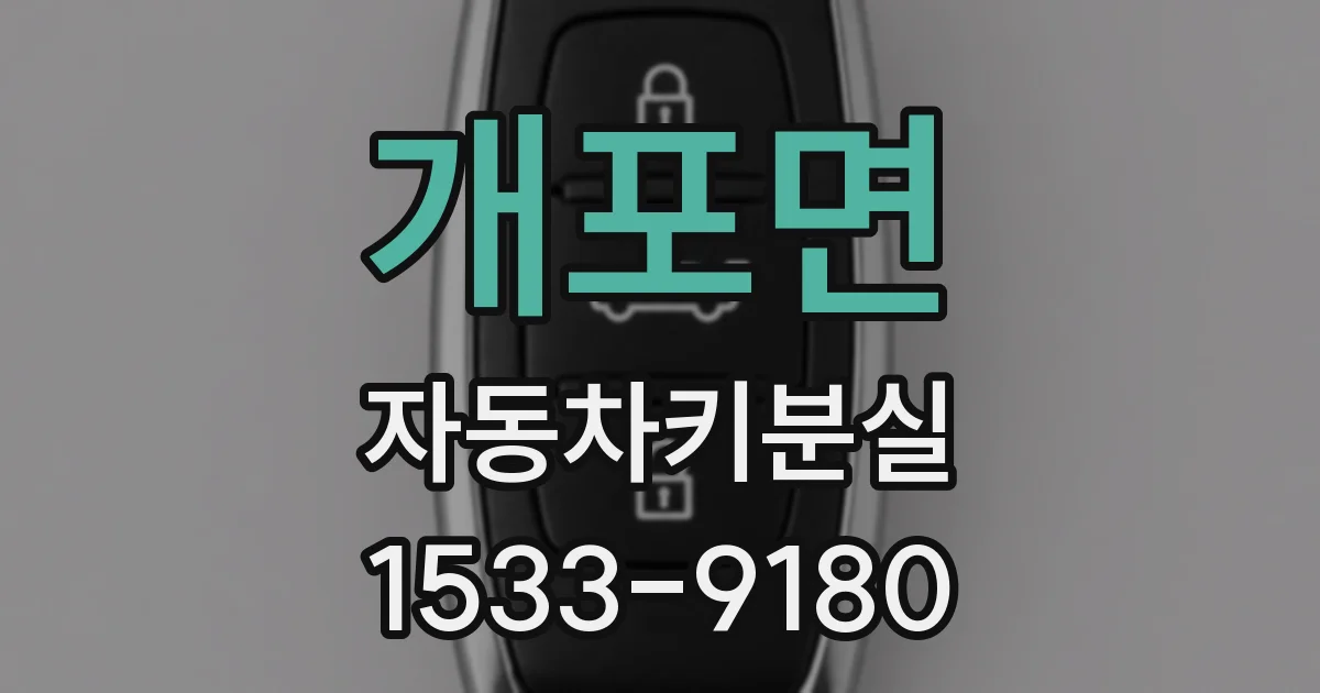 개포면 자동차키분실