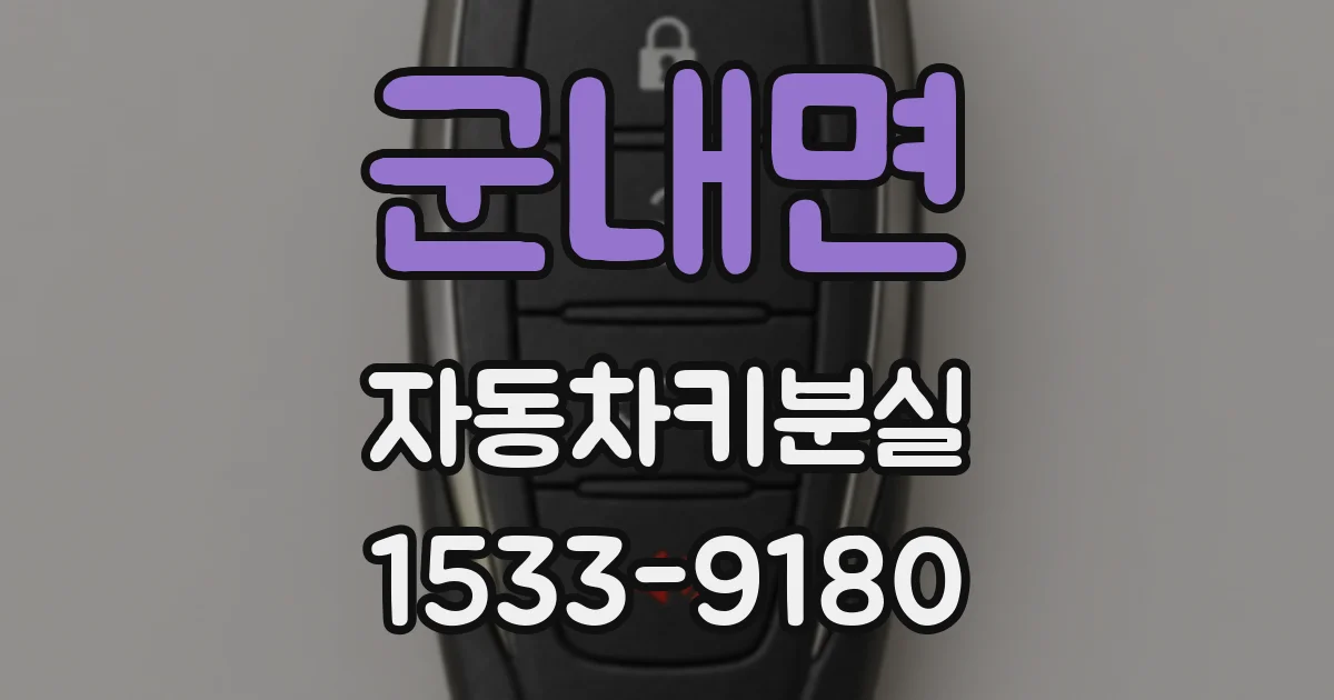 군내면 자동차키분실