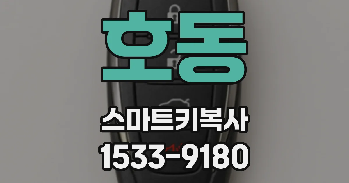 호동 스마트키복사