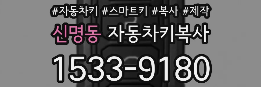 신명동 자동차키복사