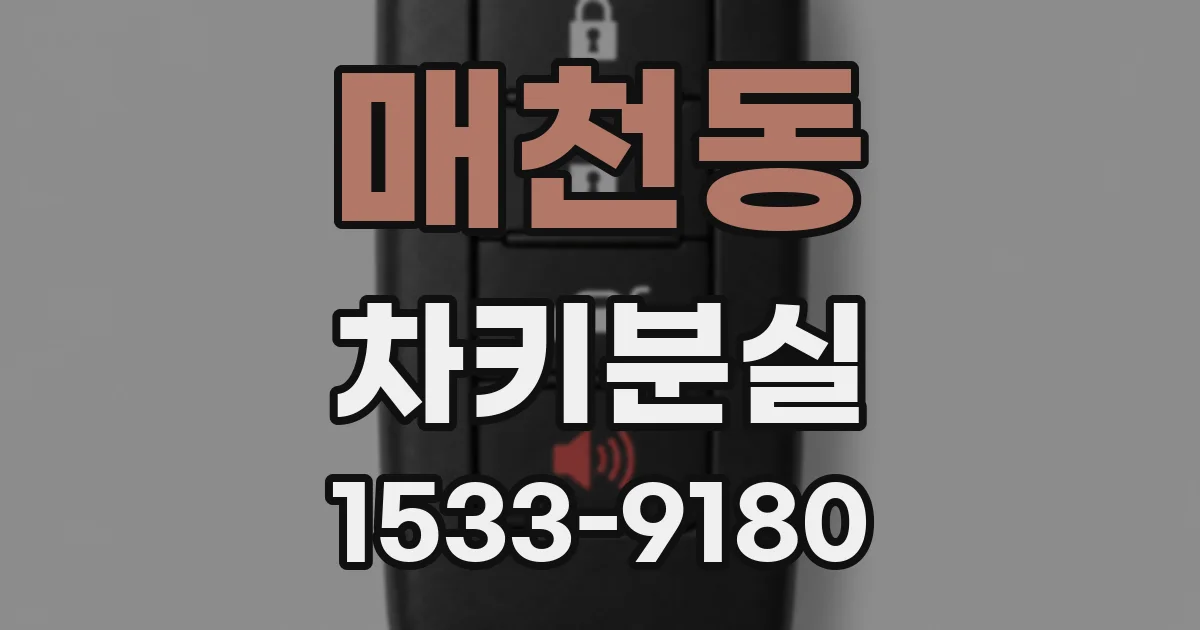 매천동 차키분실