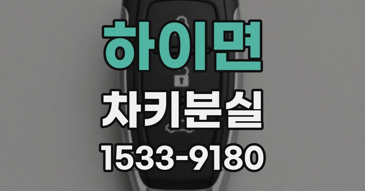 하이면 차키분실