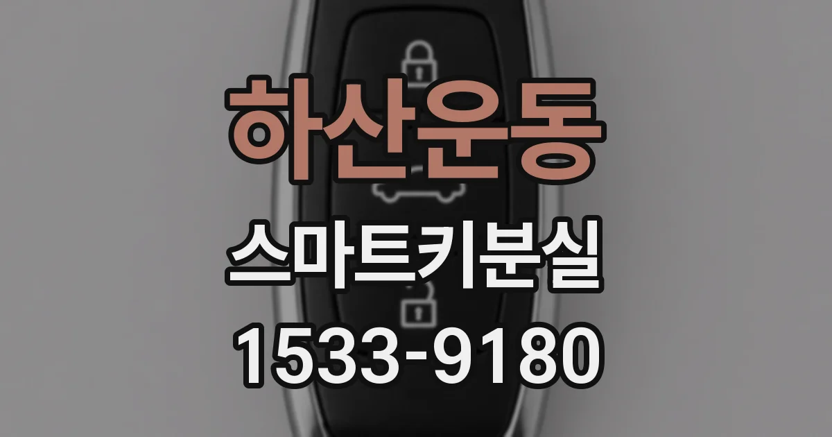 하산운동 스마트키분실