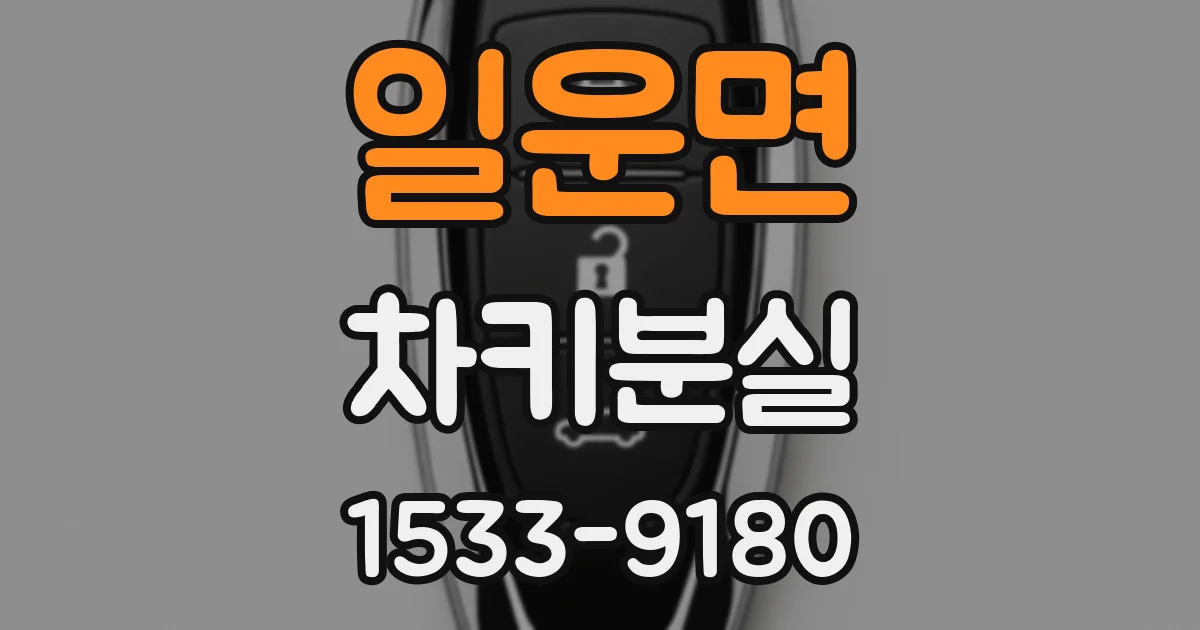 일운면 차키분실
