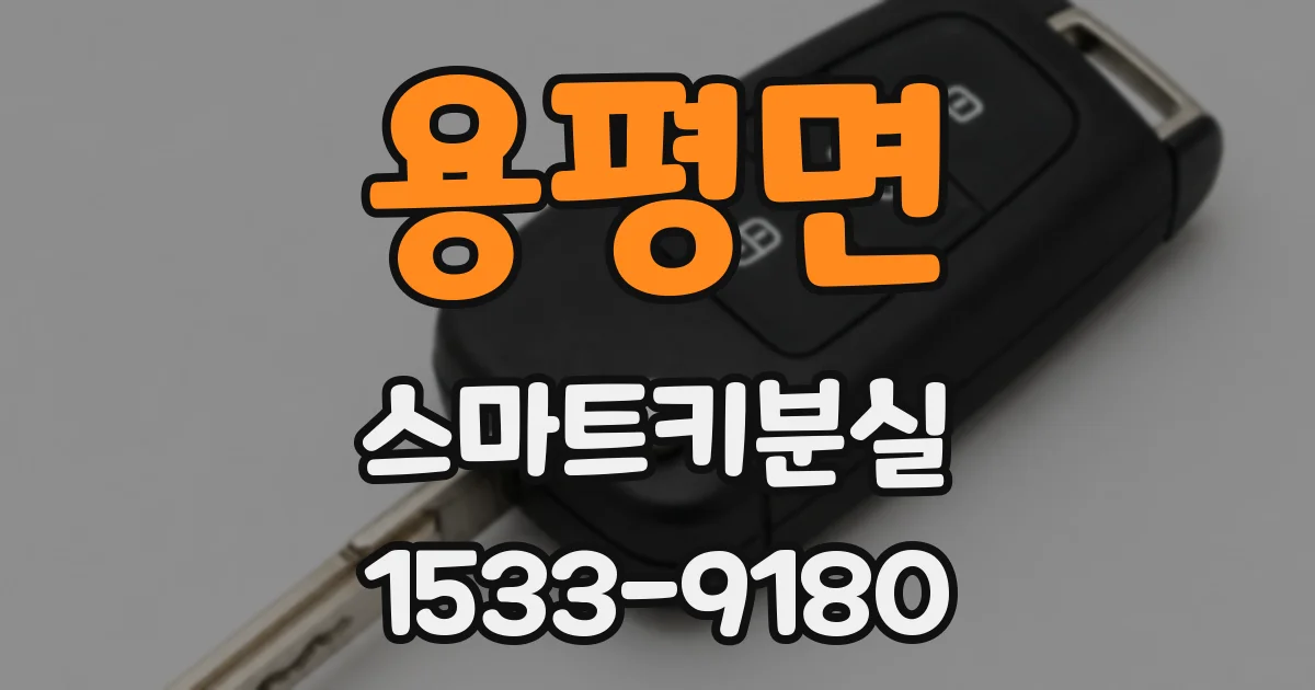 용평면 스마트키분실