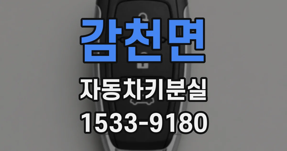 감천면 자동차키분실