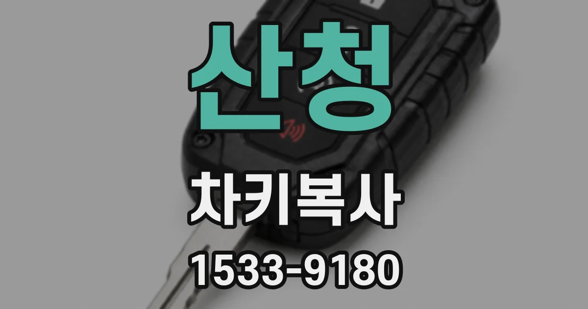 산청 차키복사