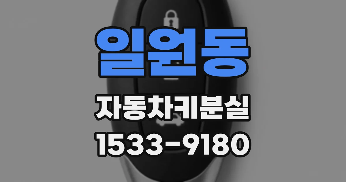 일원동 자동차키분실