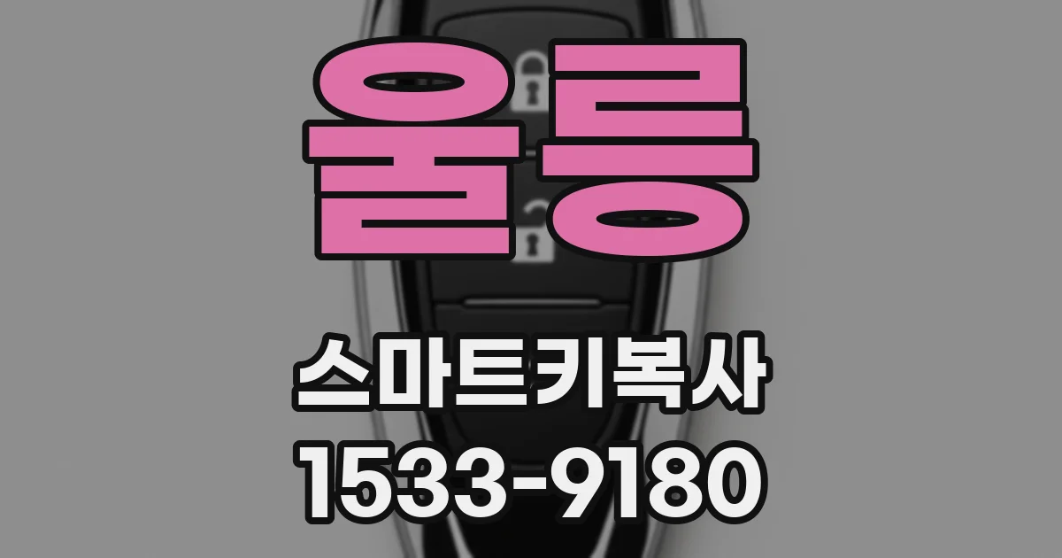 울릉 스마트키복사