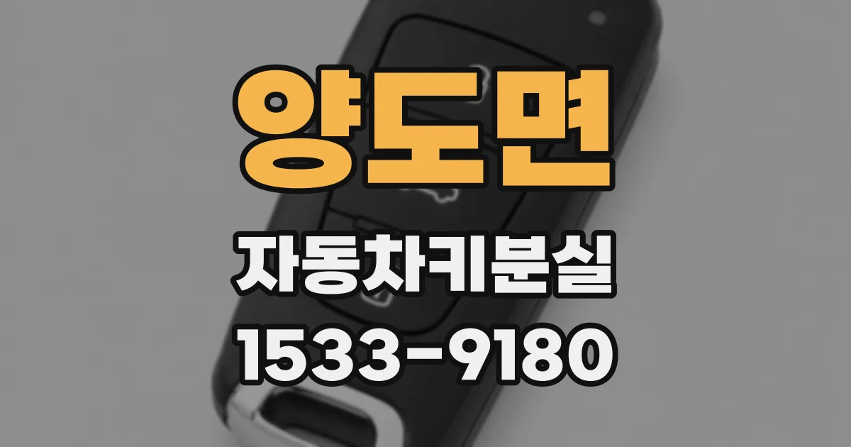 양도면 자동차키분실