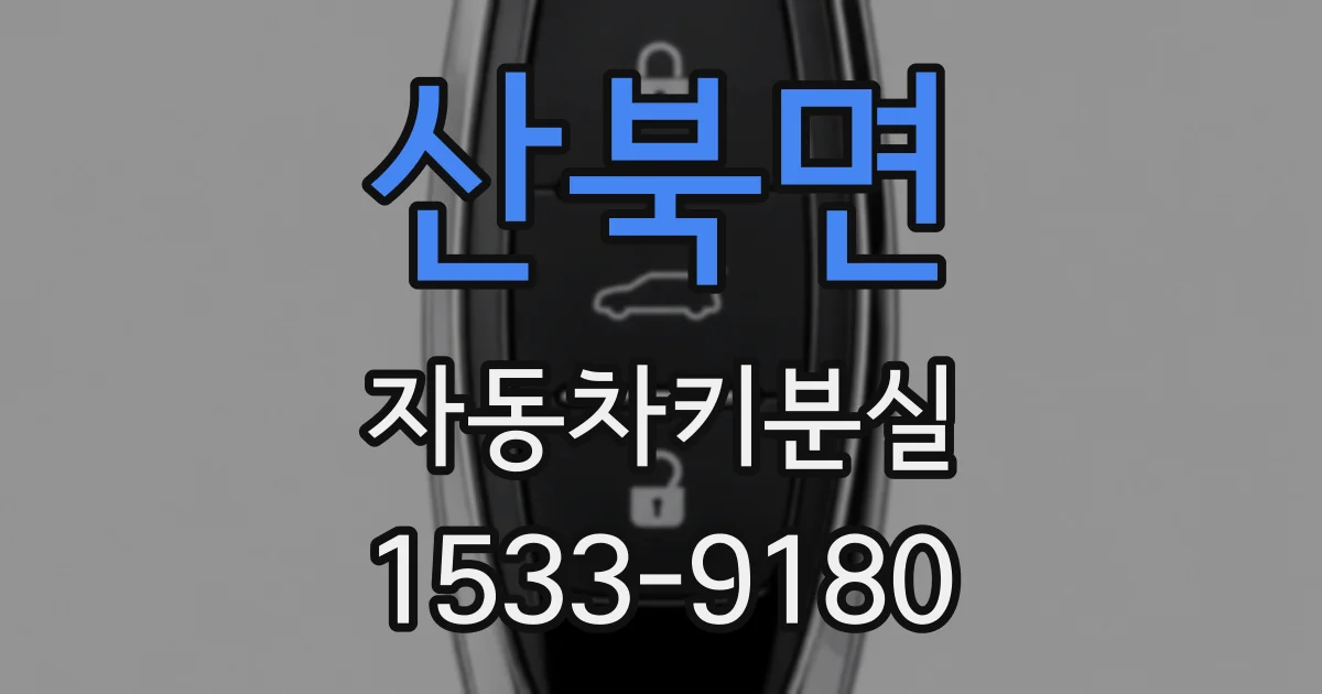 산북면 자동차키분실