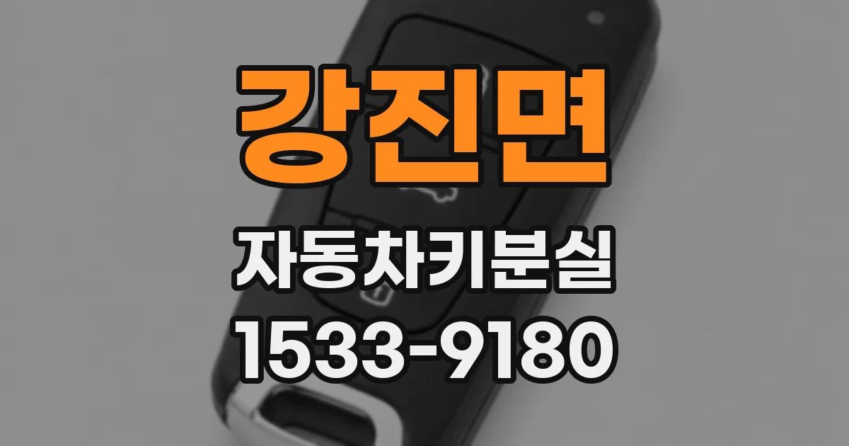 강진면 자동차키분실