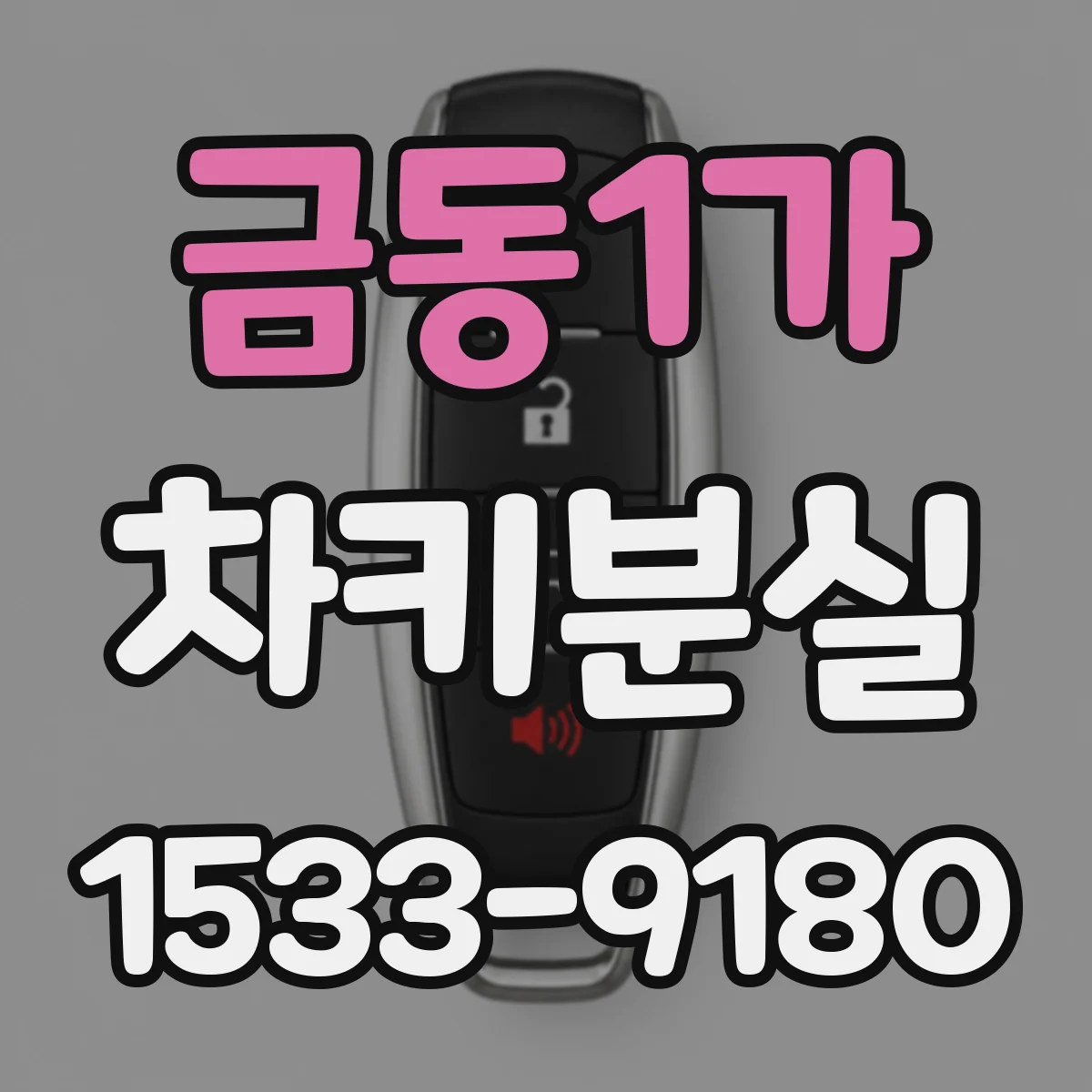 금동1가 차키분실