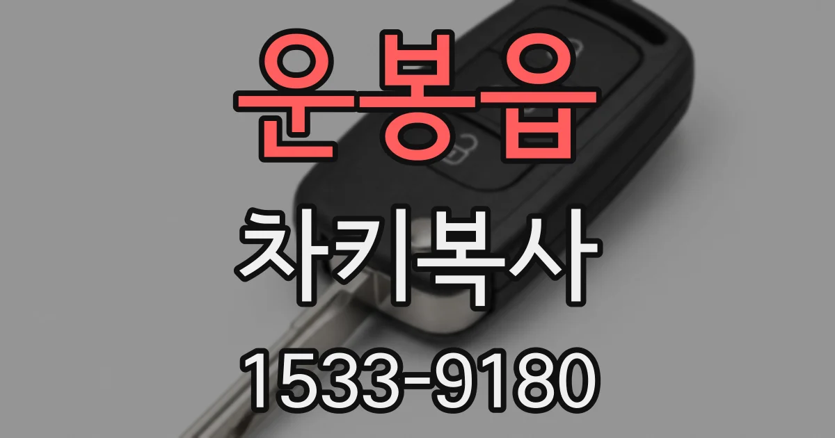 운봉읍 차키복사