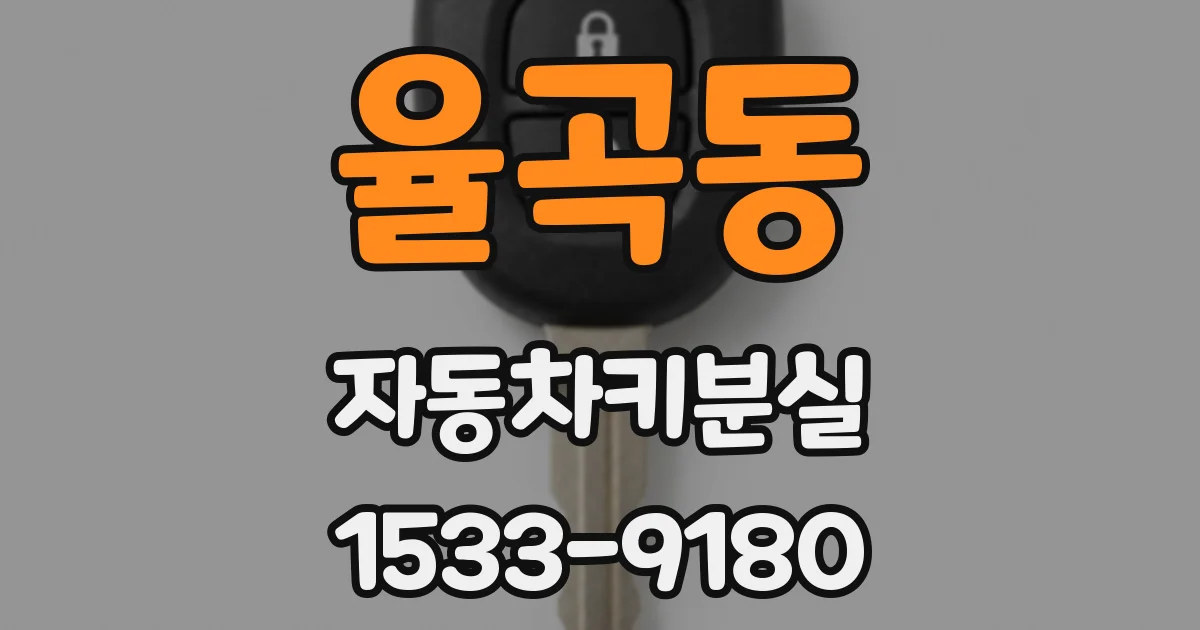 율곡동 자동차키분실