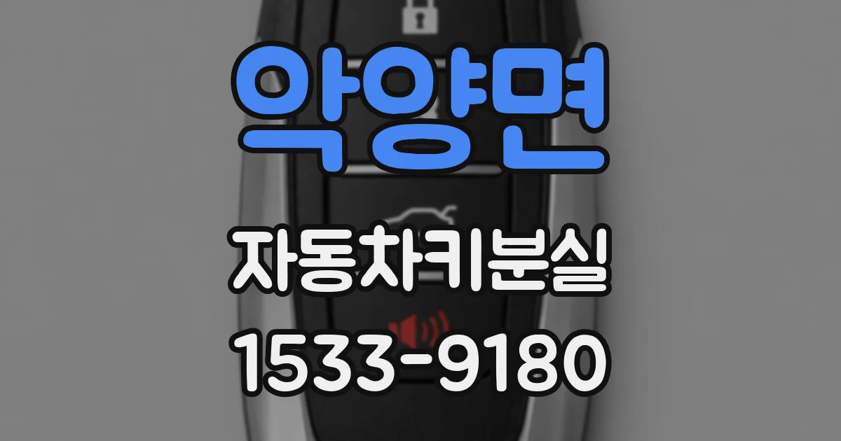 악양면 자동차키분실