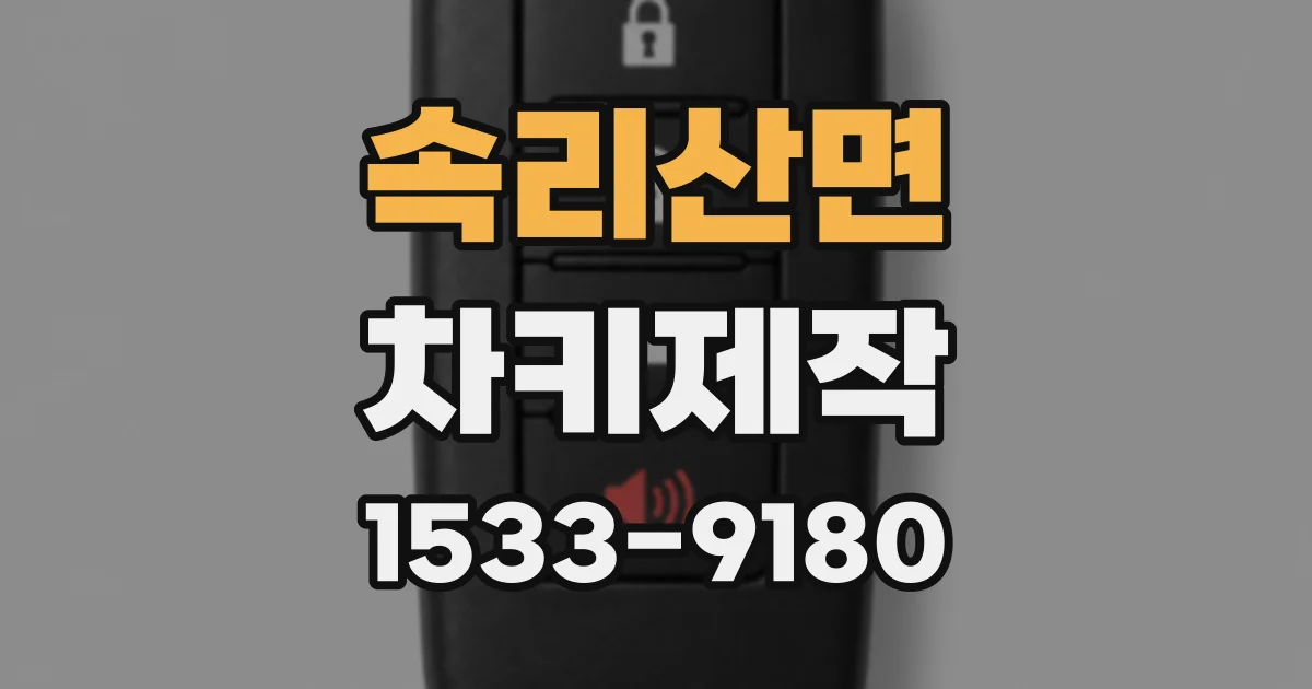 속리산면 차키제작