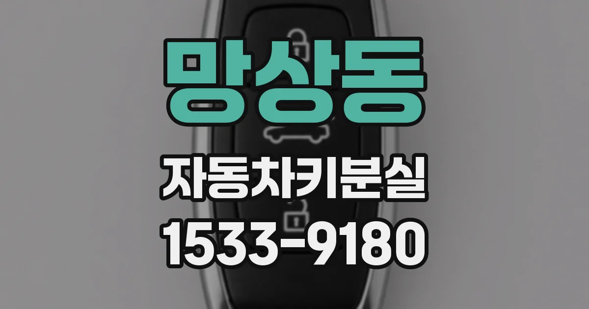 망상동 자동차키분실