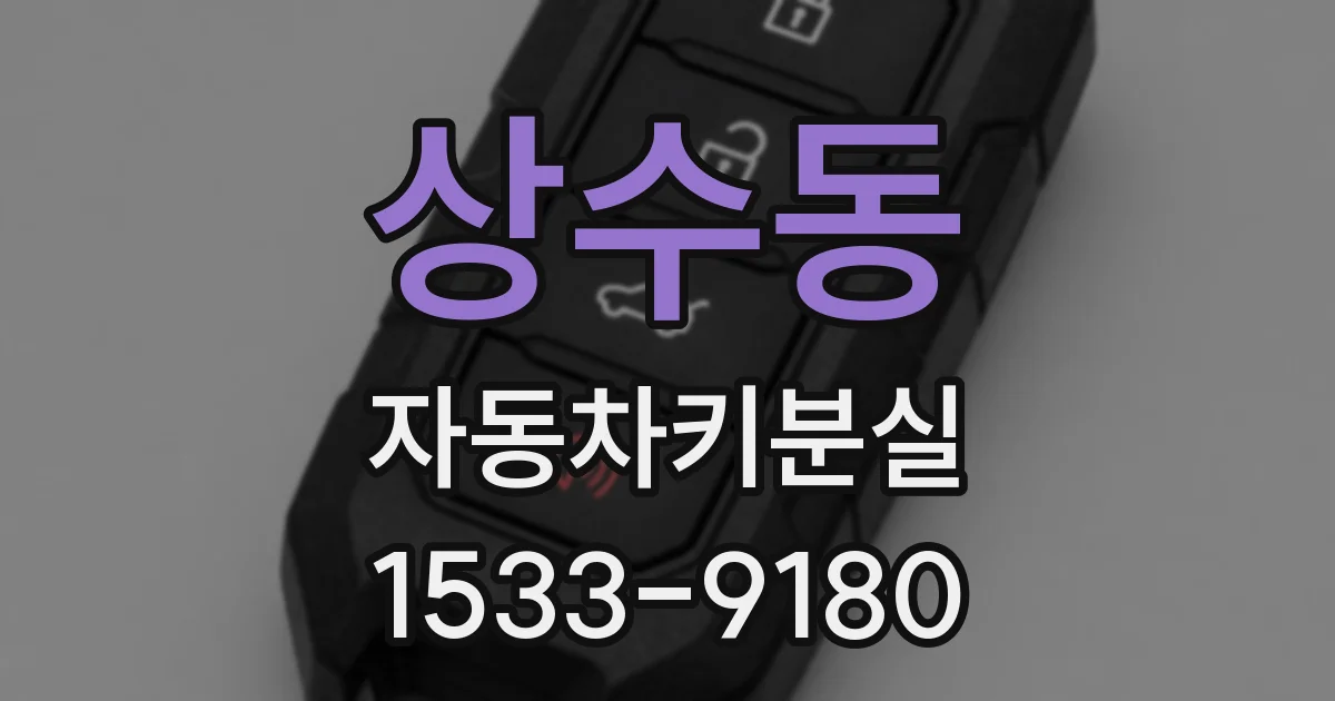 상수동 자동차키분실