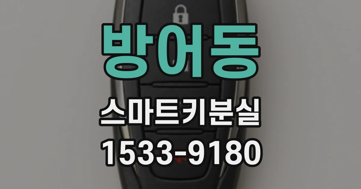 방어동 스마트키분실