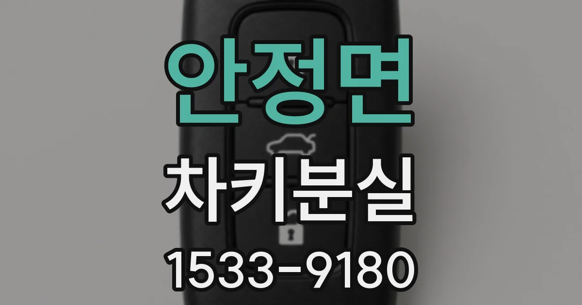 안정면 차키분실