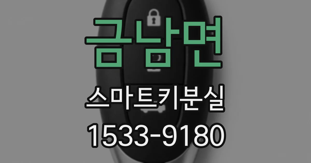금남면 스마트키분실