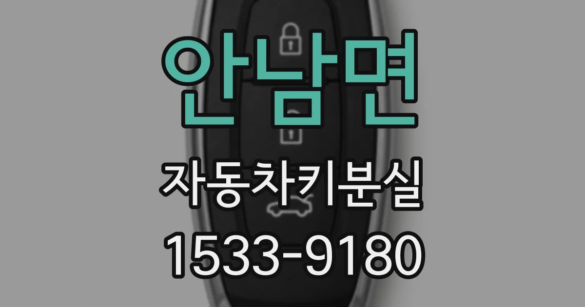안남면 자동차키분실