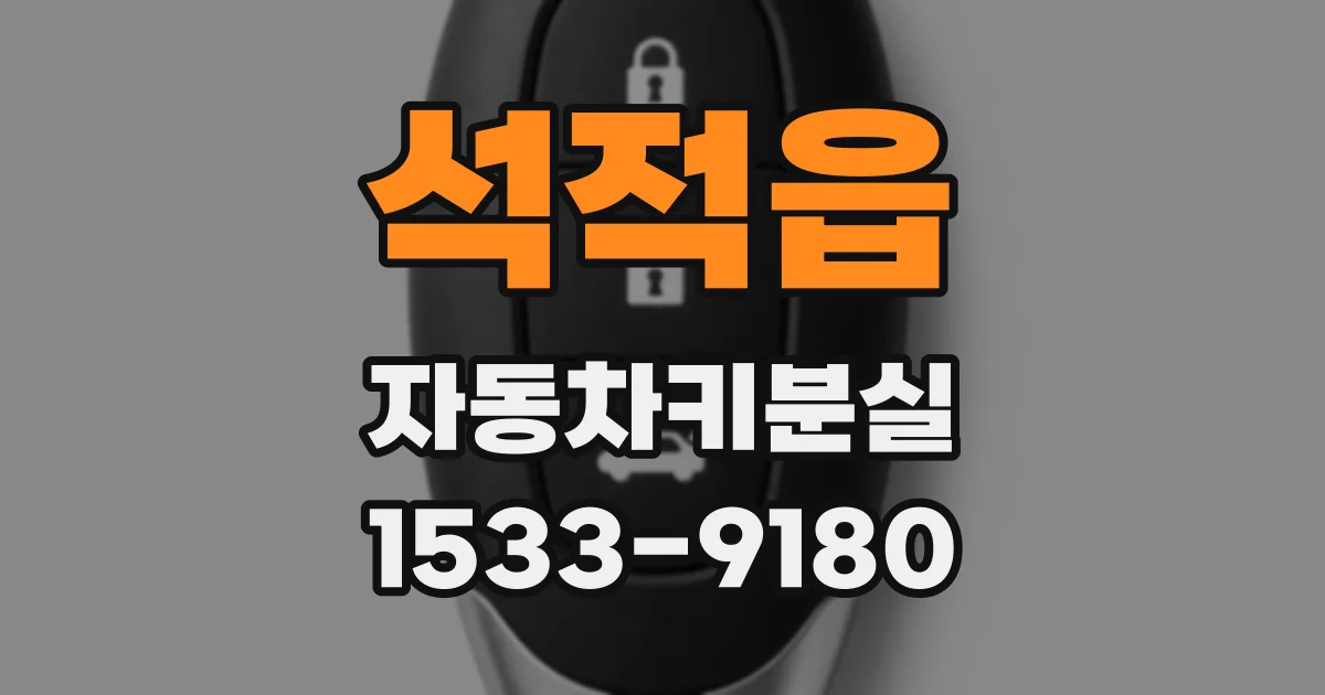석적읍 자동차키분실
