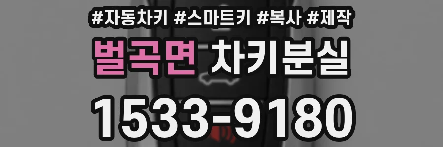 벌곡면 차키분실