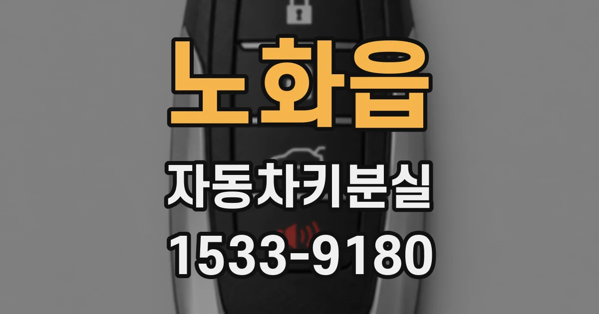 노화읍 자동차키분실