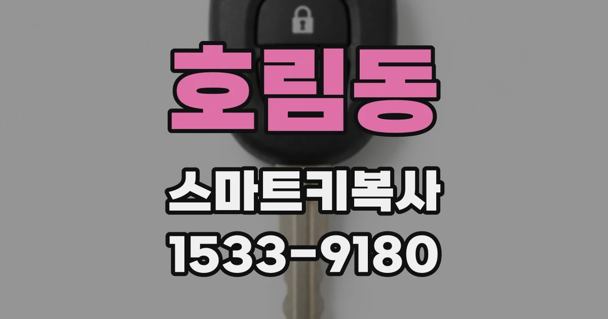 호림동 스마트키복사