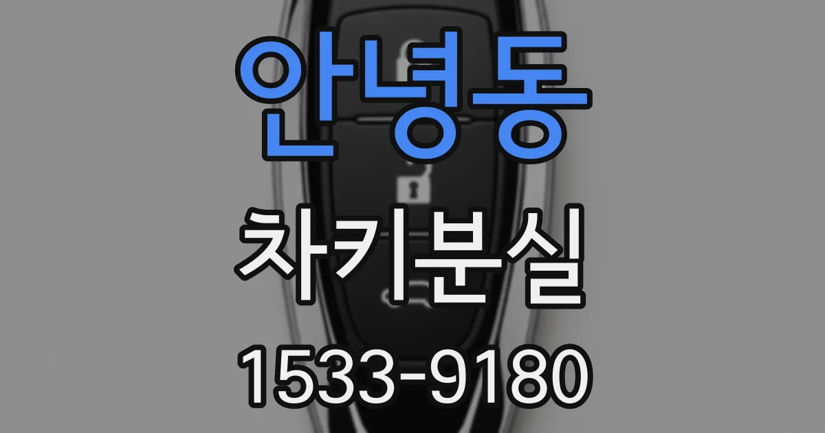 안녕동 차키분실