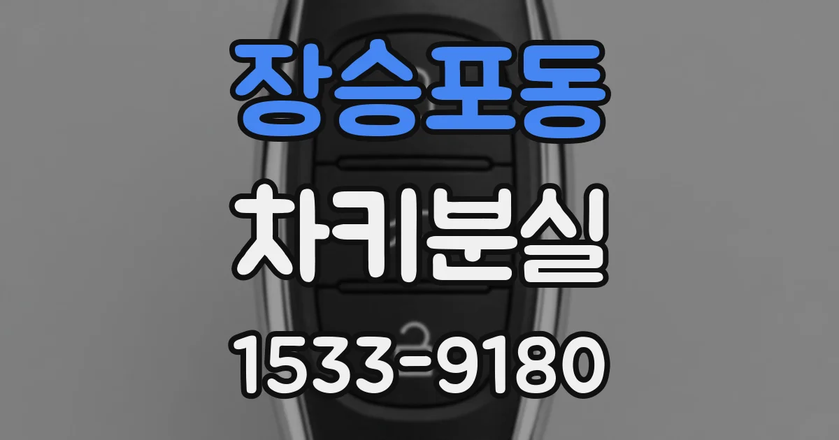 장승포동 차키분실