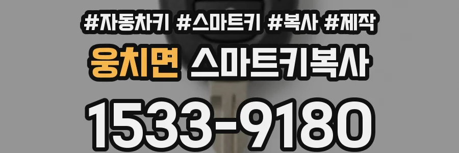 웅치면 스마트키복사
