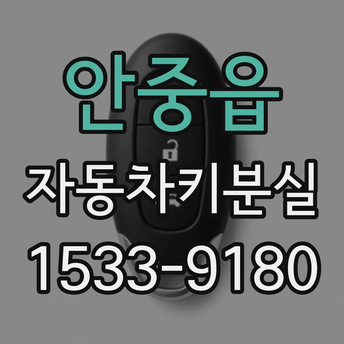 안중읍 자동차키분실