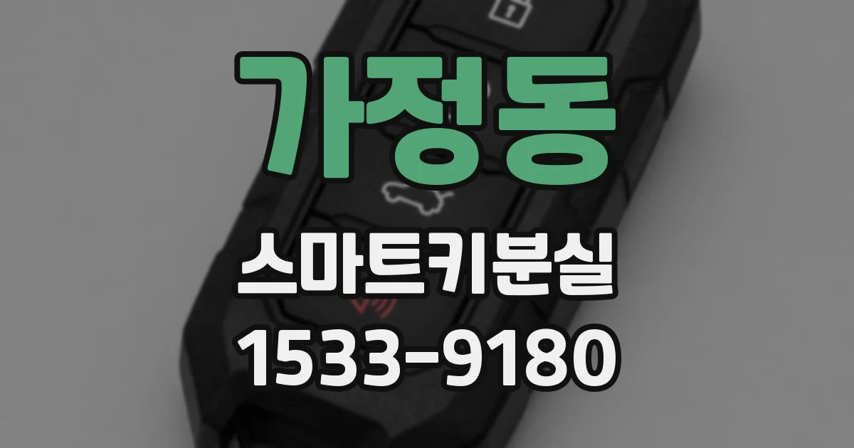 가정동 스마트키분실