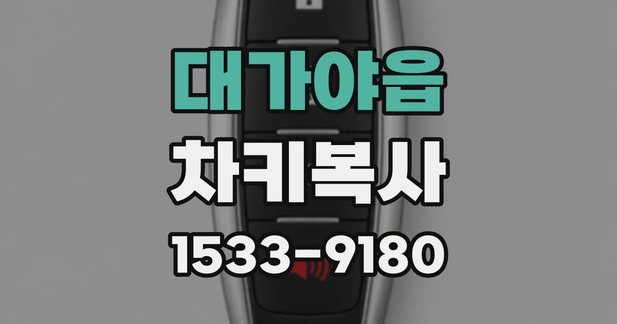 대가야읍 차키복사