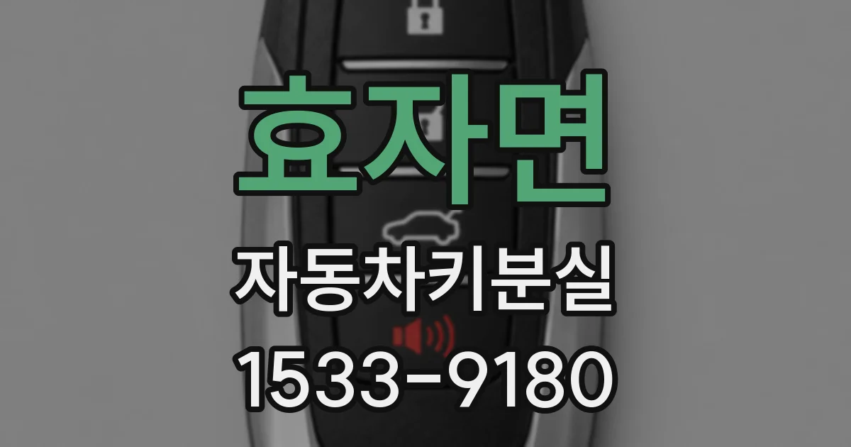 효자면 자동차키분실