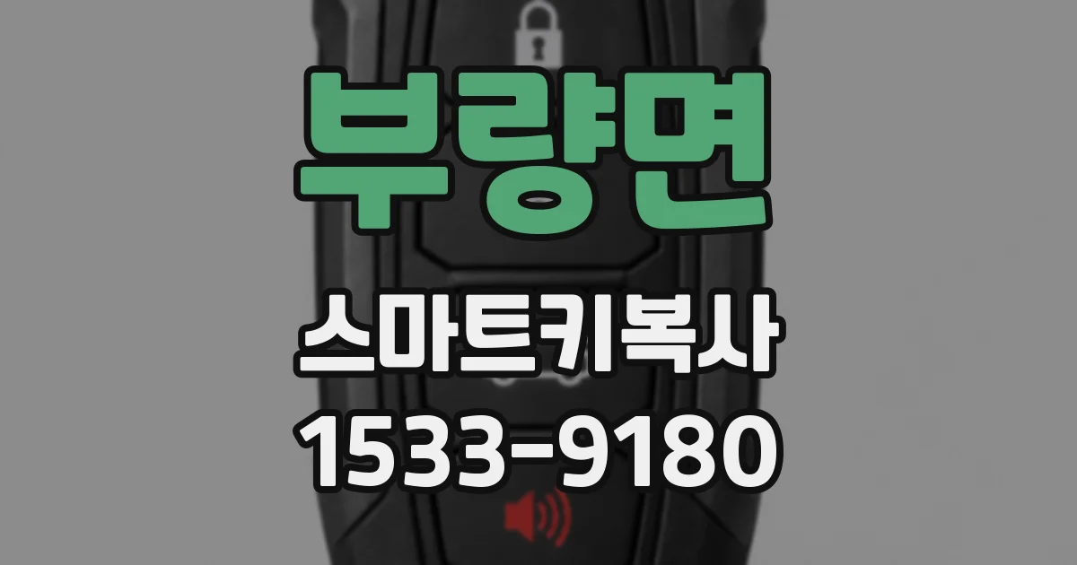 부량면 스마트키복사