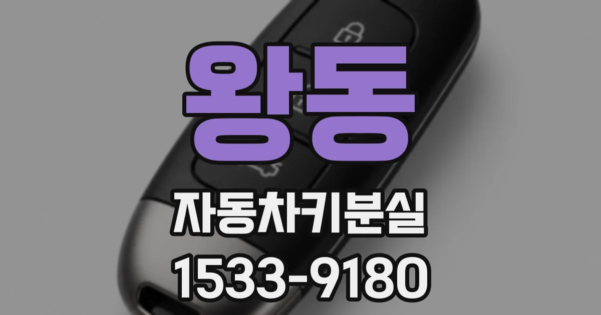 왕동 자동차키분실