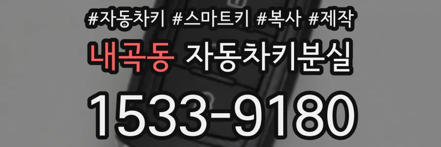 내곡동 자동차키분실