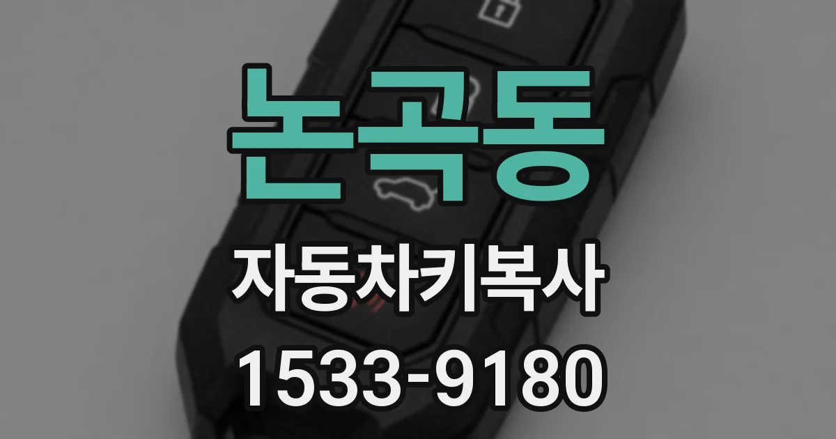 논곡동 자동차키복사