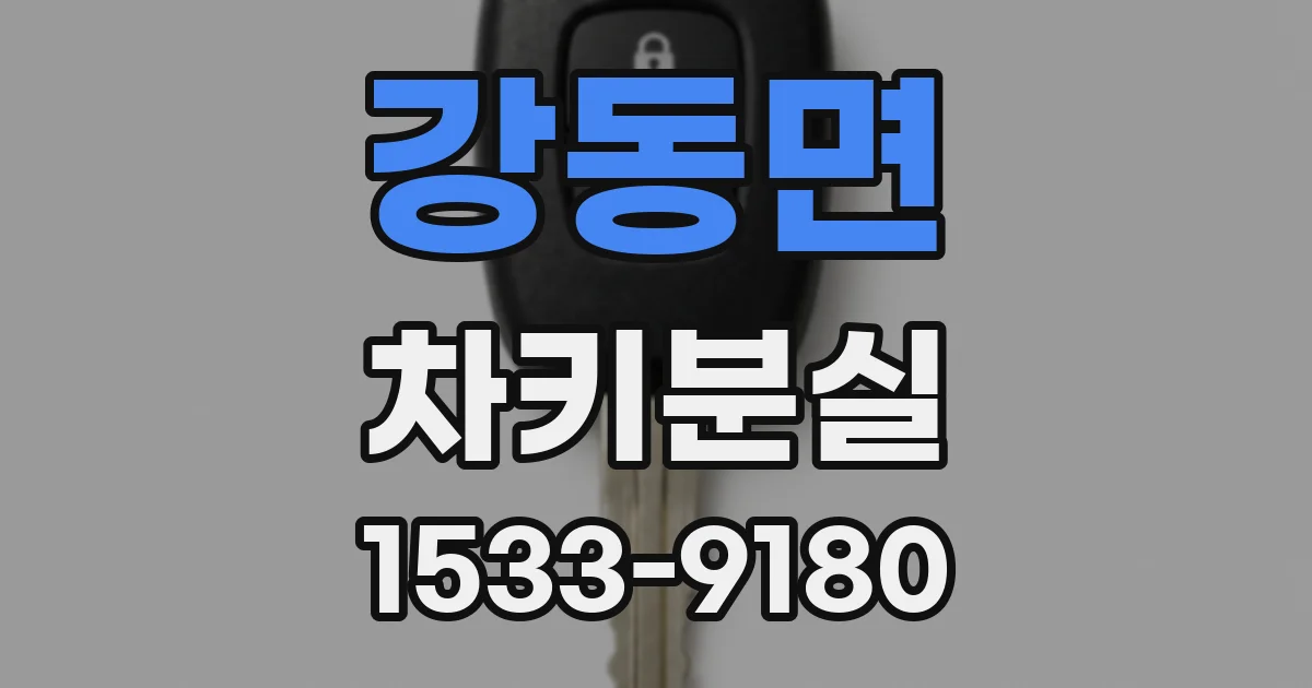 강동면 차키분실